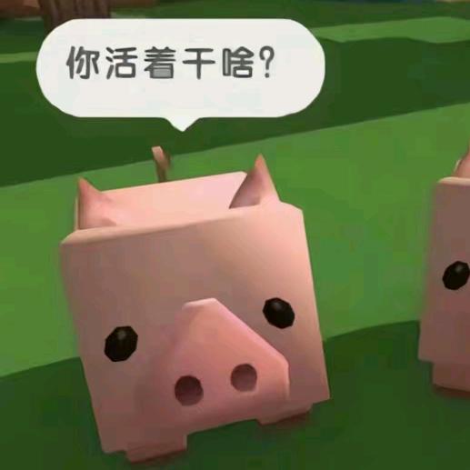别忘记许个愿