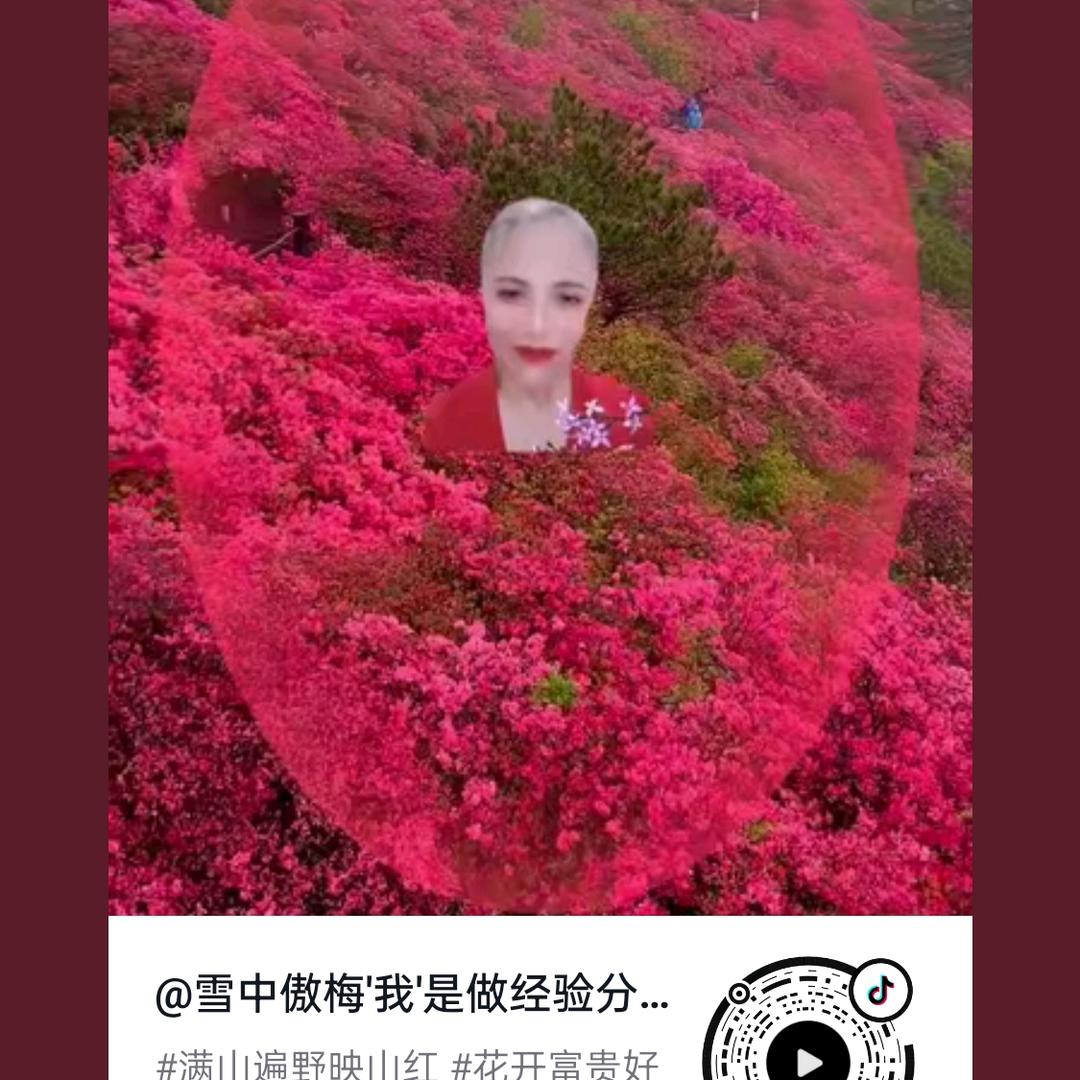 雪中傲梅′我′是做经验分亨主播，改为创业