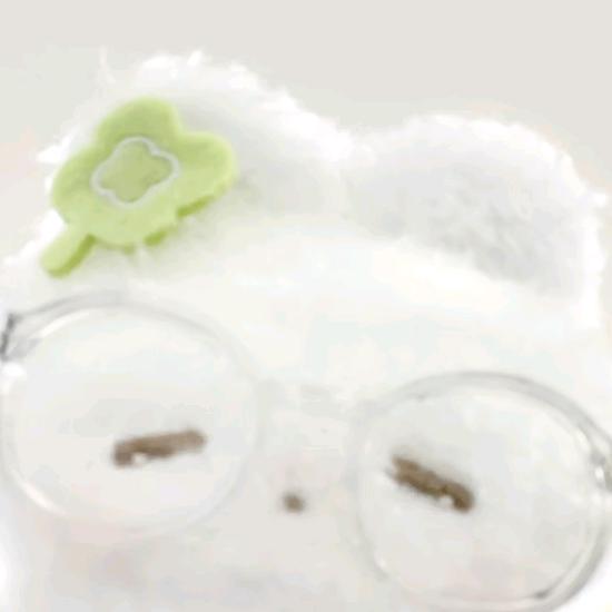 小涵不爱吃鱼