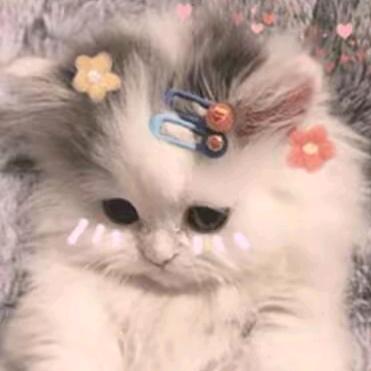 颜姝
