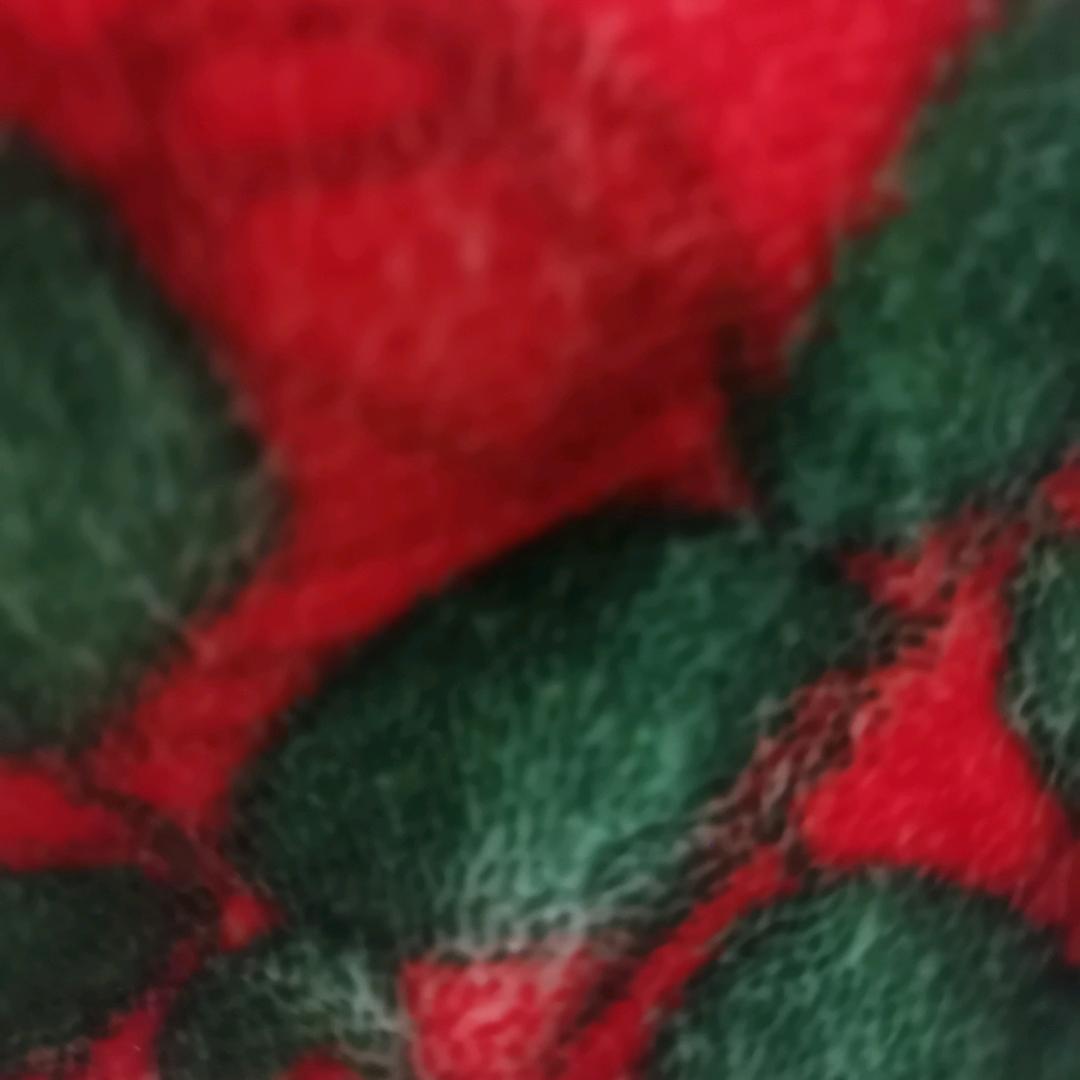 秋田满满的玫瑰