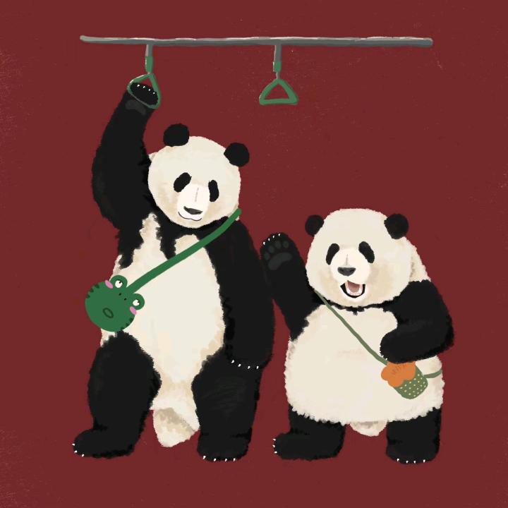 花小八vs叶小九
