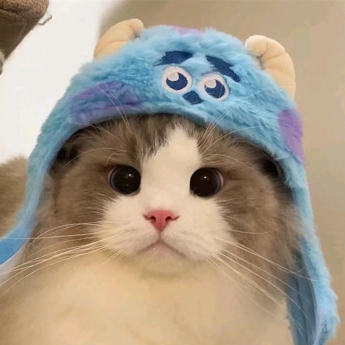 欣羽剧好看