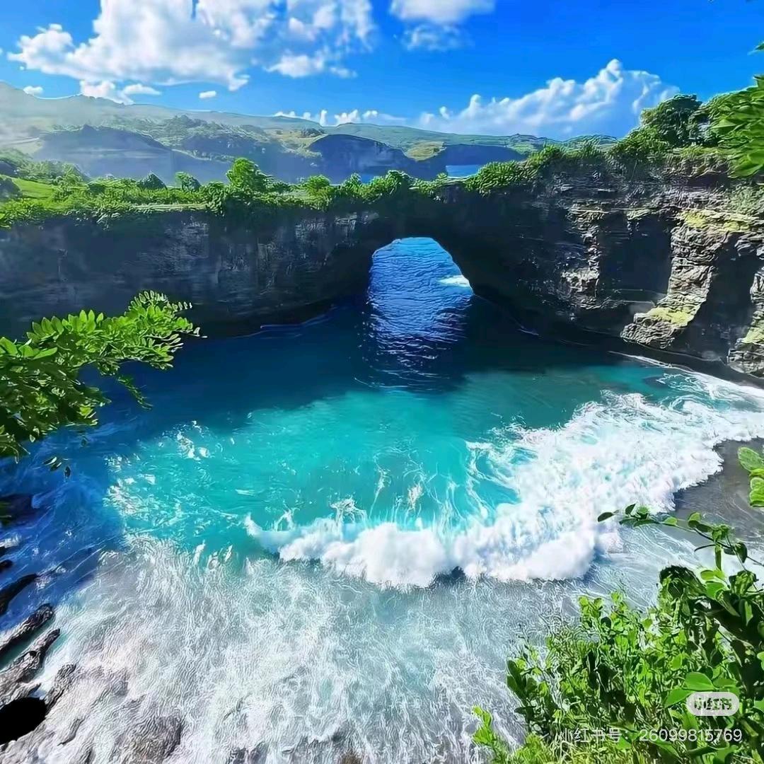 樊樊