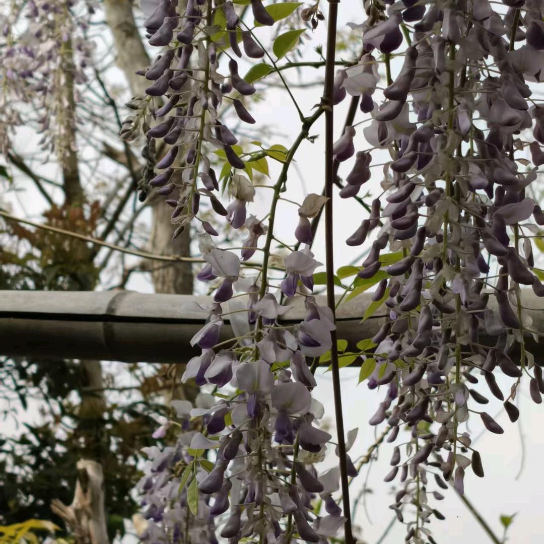 不是我的我不要🙅‍♀️