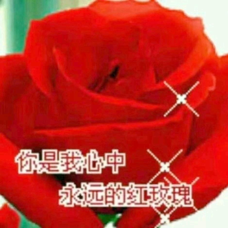 罗凤香
