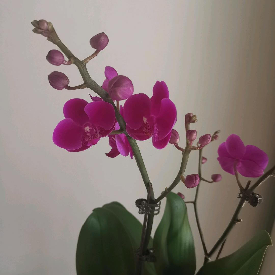一个人
