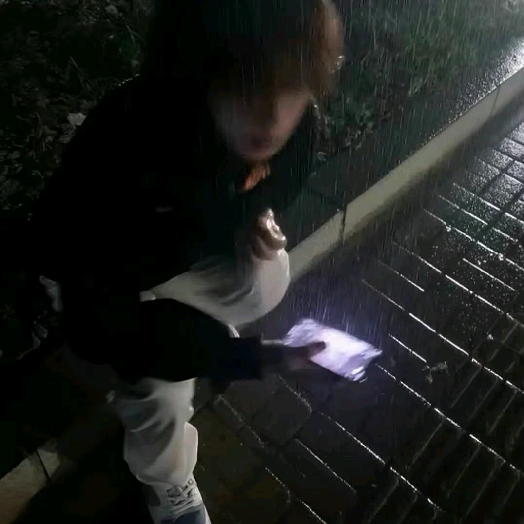 人生若只如初见