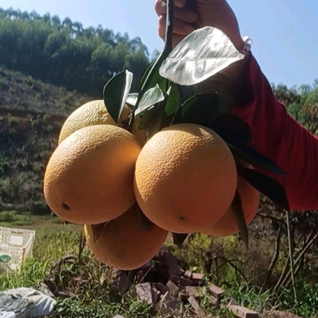 美一天