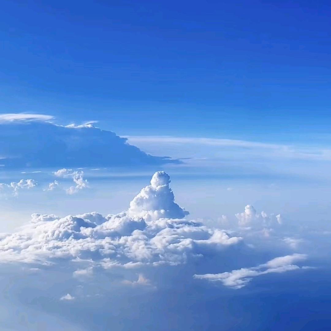 青苹果的乐园