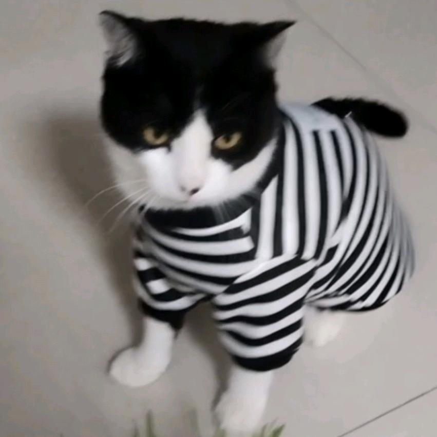 野丫头