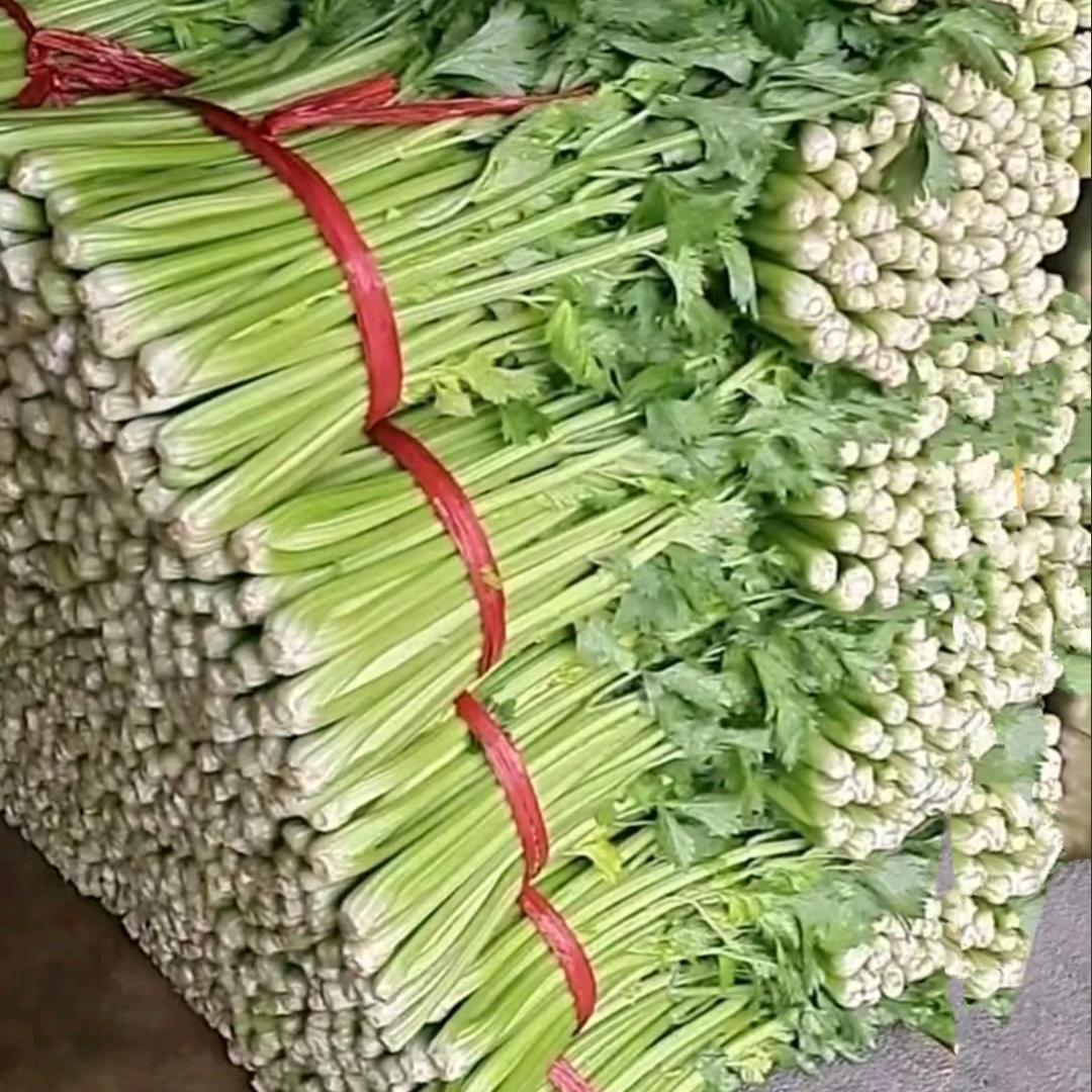 诚信蔬菜代办