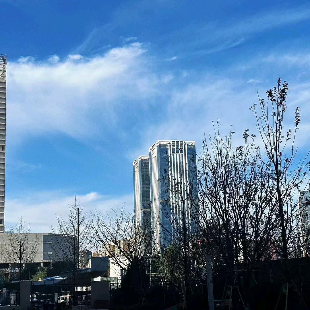 保利天禧 新房团购