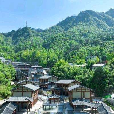 龙哥伴你走天涯