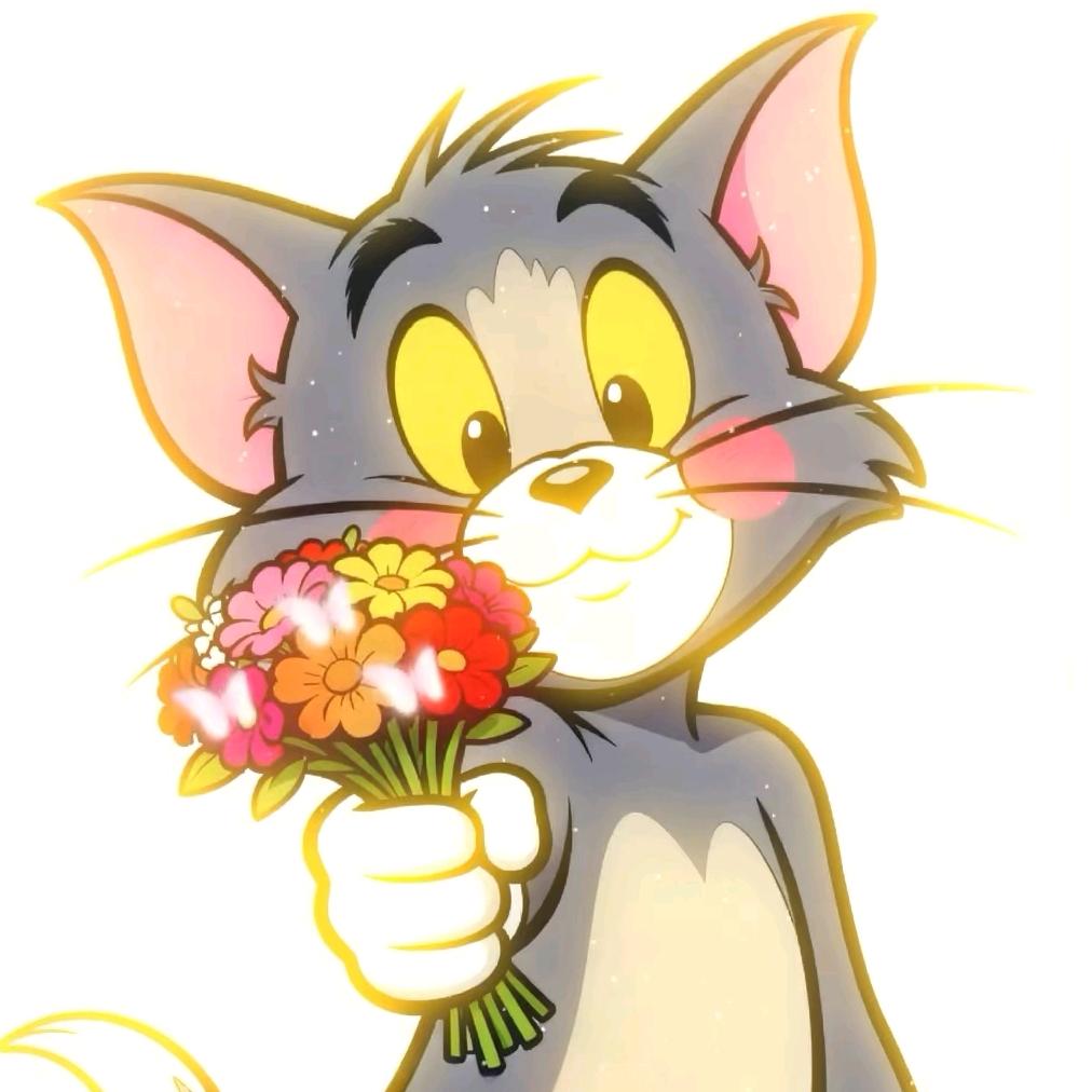 ♚如花我最美♚