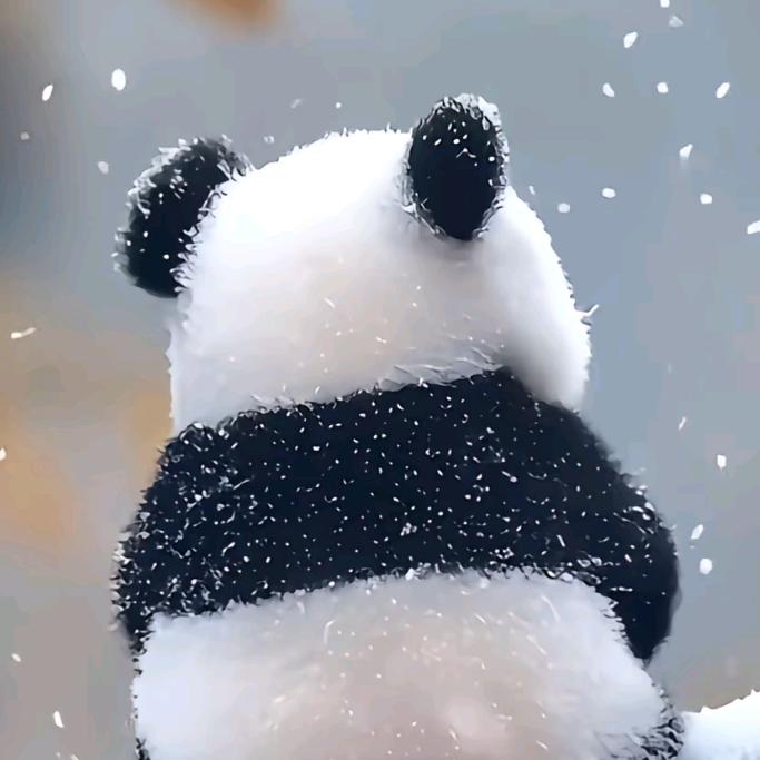 结巴阿兵❶