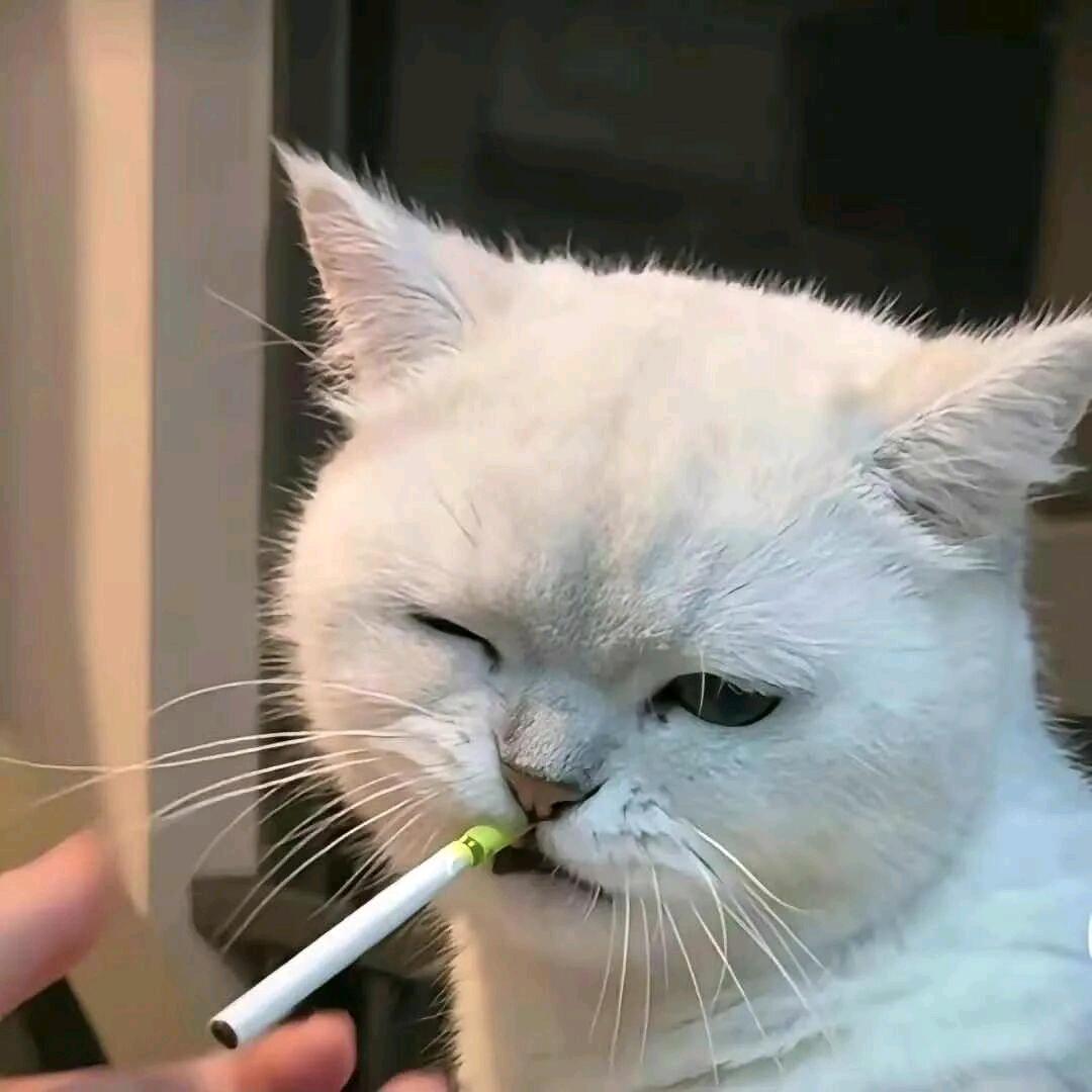 僵师龙二