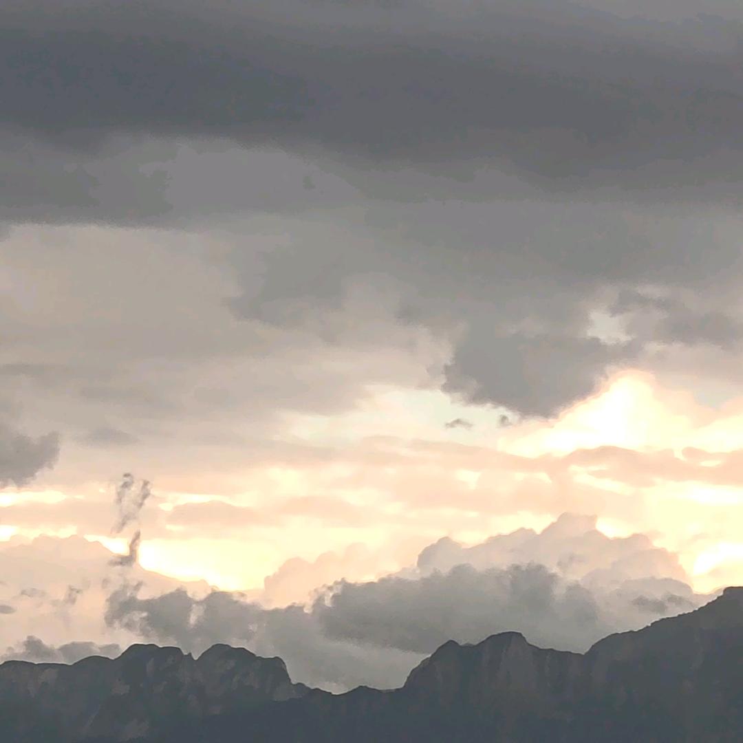 碎银·几两·💦🌱