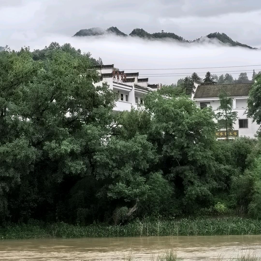 吴所畏惧