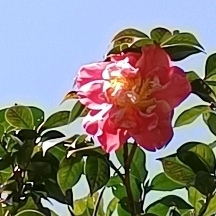 三個孩子