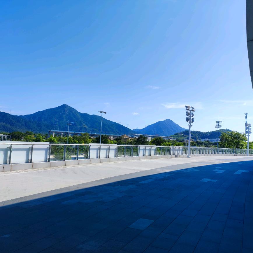 小白。