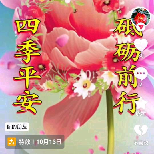 杏花开
