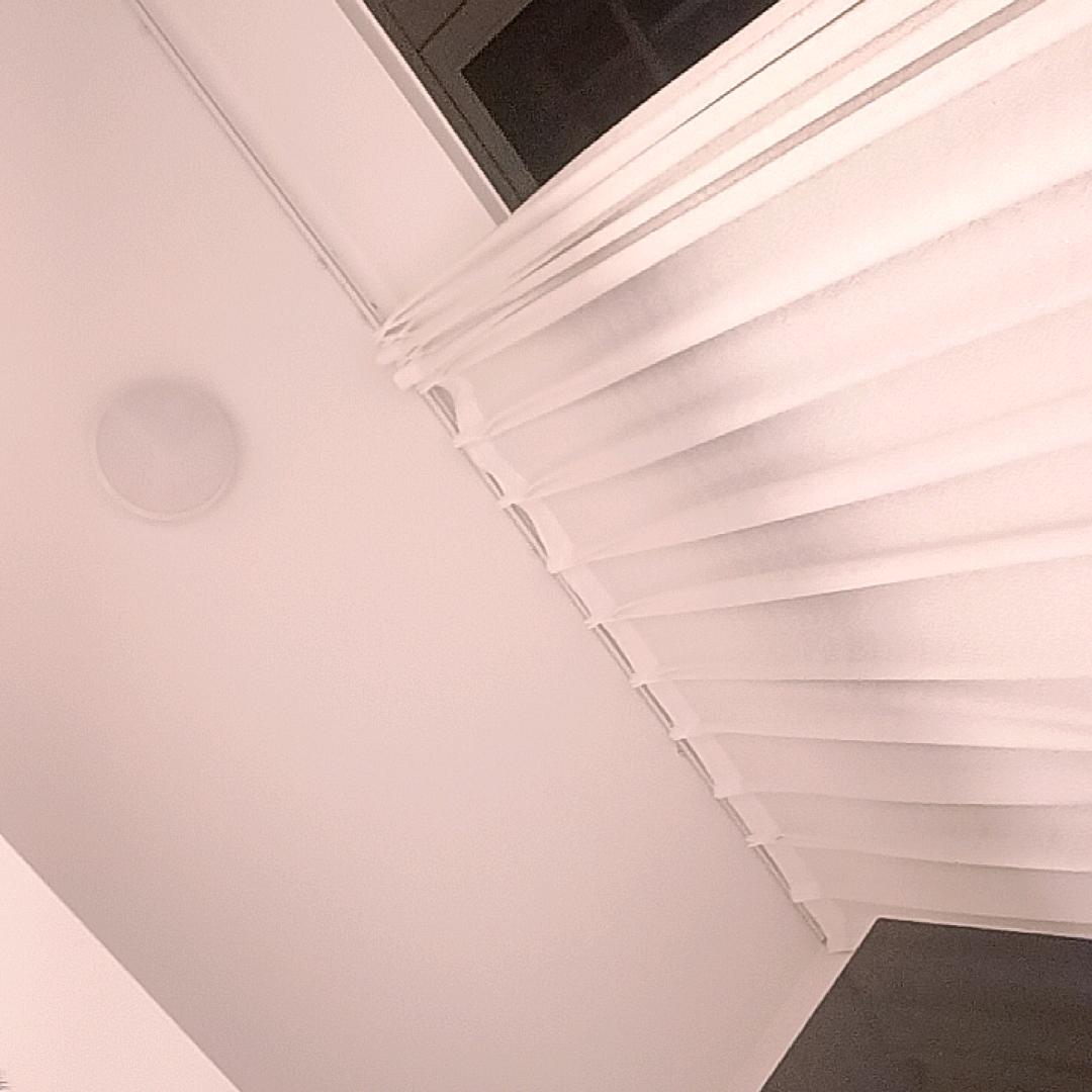 智