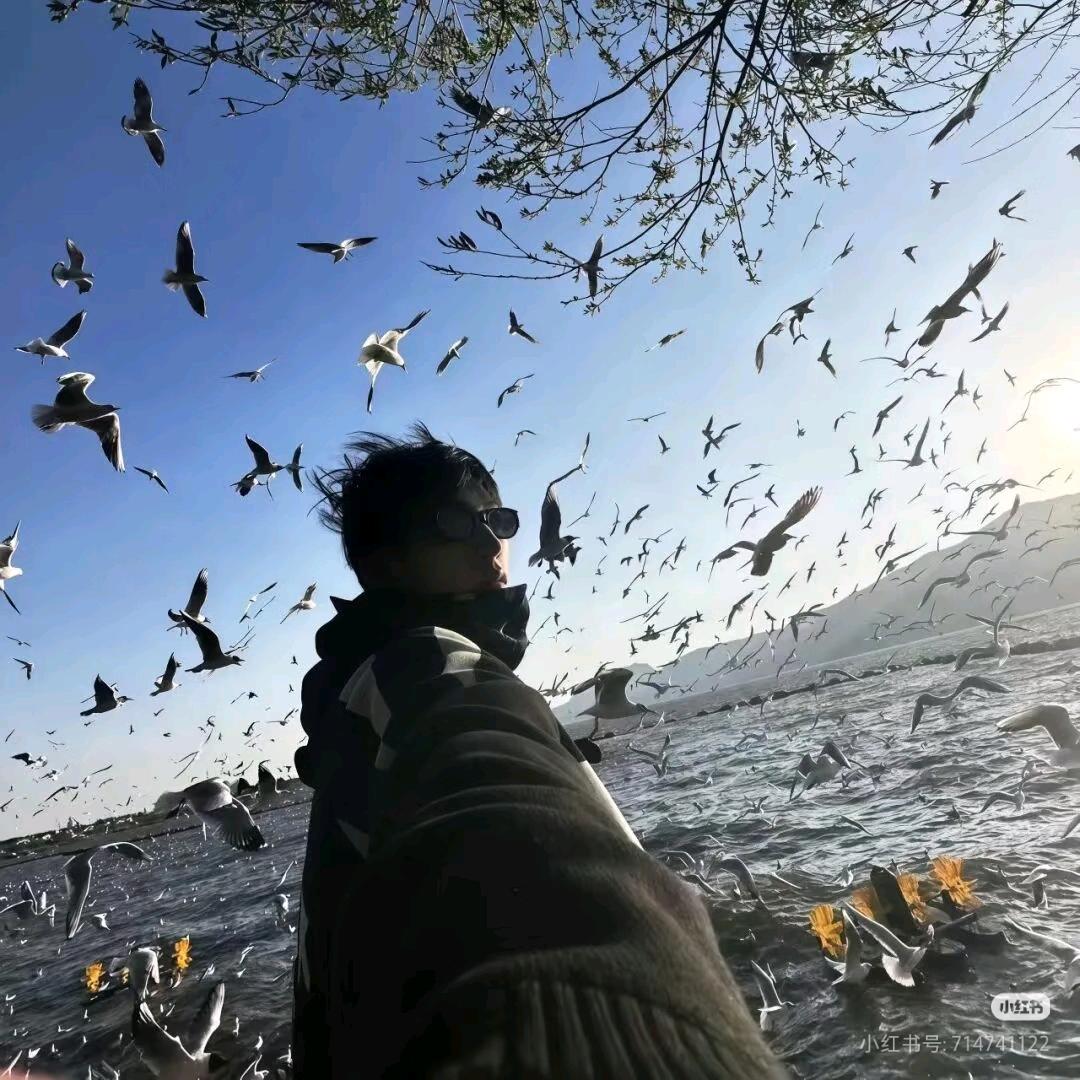 注意沈题