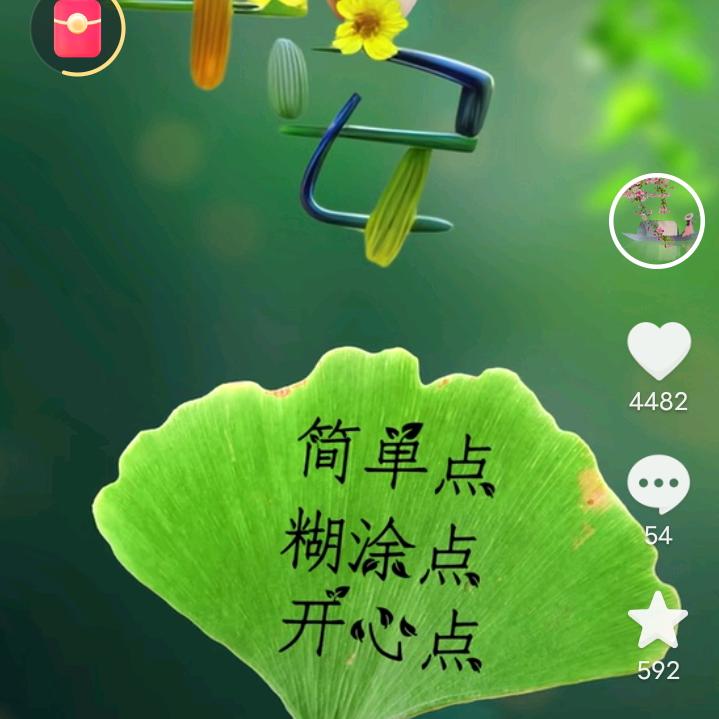 抬眼已是半生