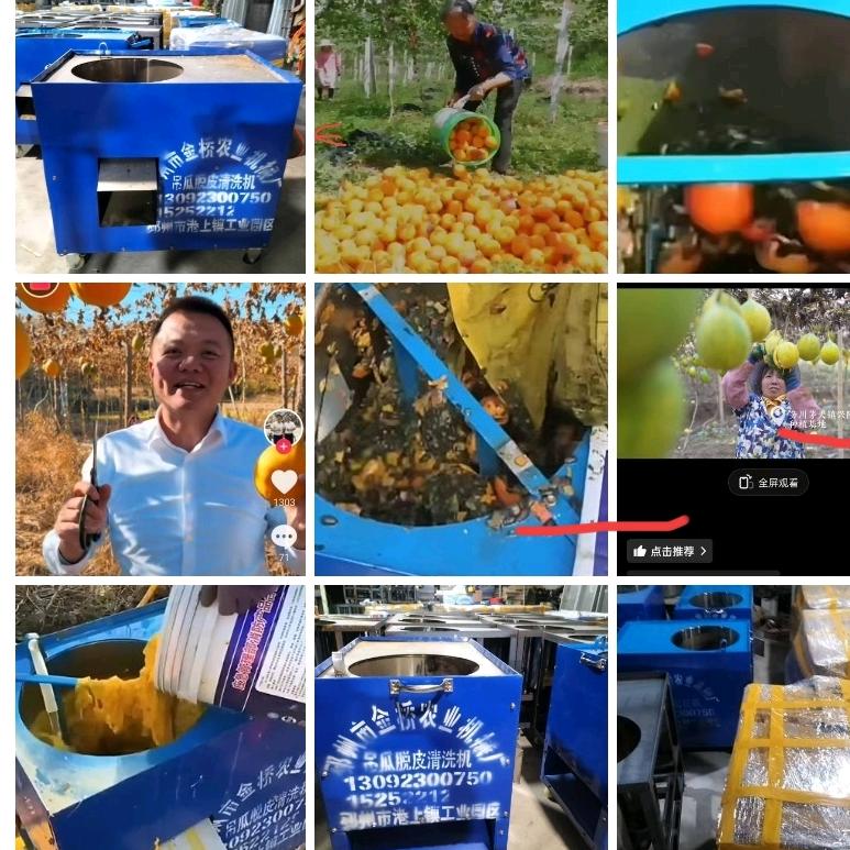 瓜蒌脱皮清洗机