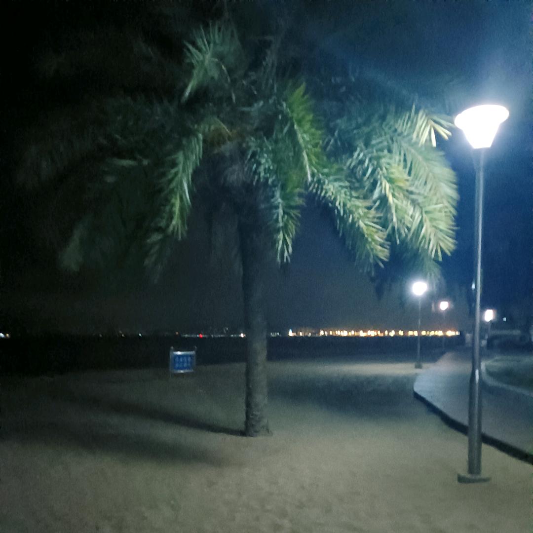 杨哥钓遍八方