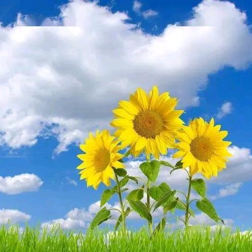 开心过好每一天