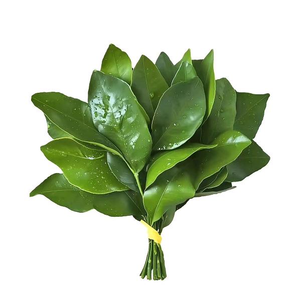 便秘是大肠的挽留