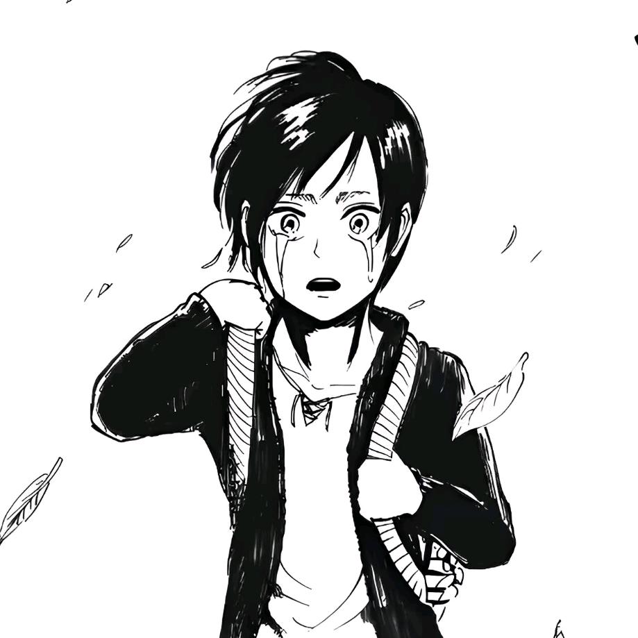 诗淋羽（三角洲行动）