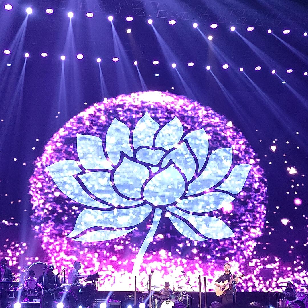 花心♥(｡￫v￩｡)♥