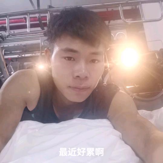 歲仴如歌