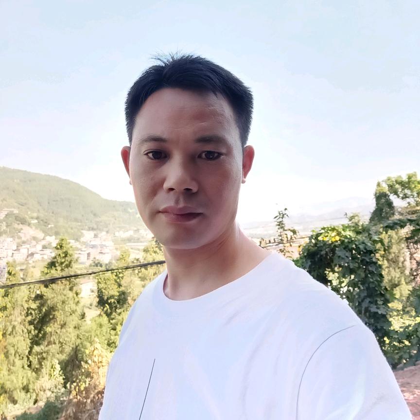 陈哥与伤寒论