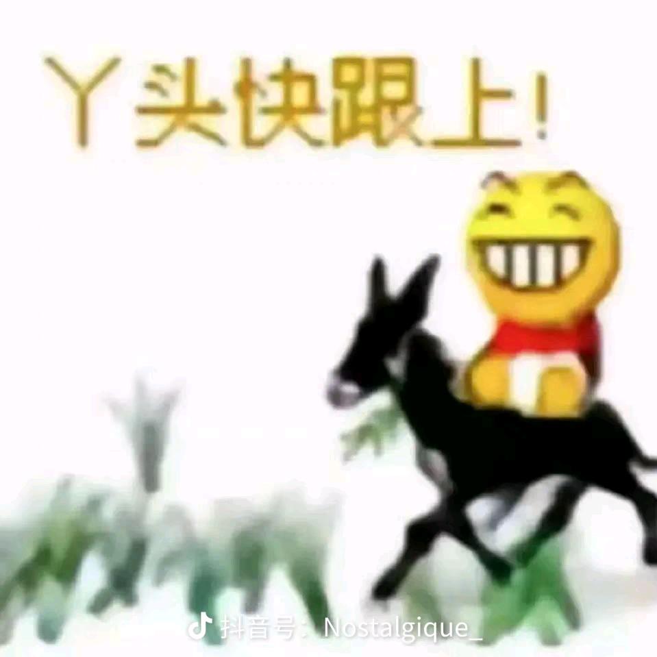 敢敢林LIN