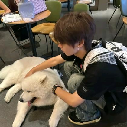 逆光而来＝