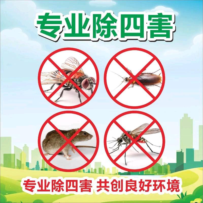 消杀服务中心（小孙）