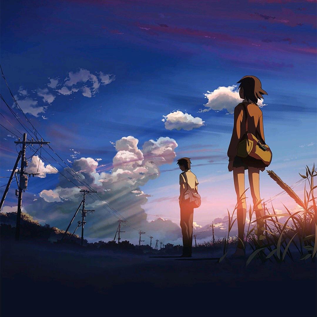 D=P=Y（自律中）