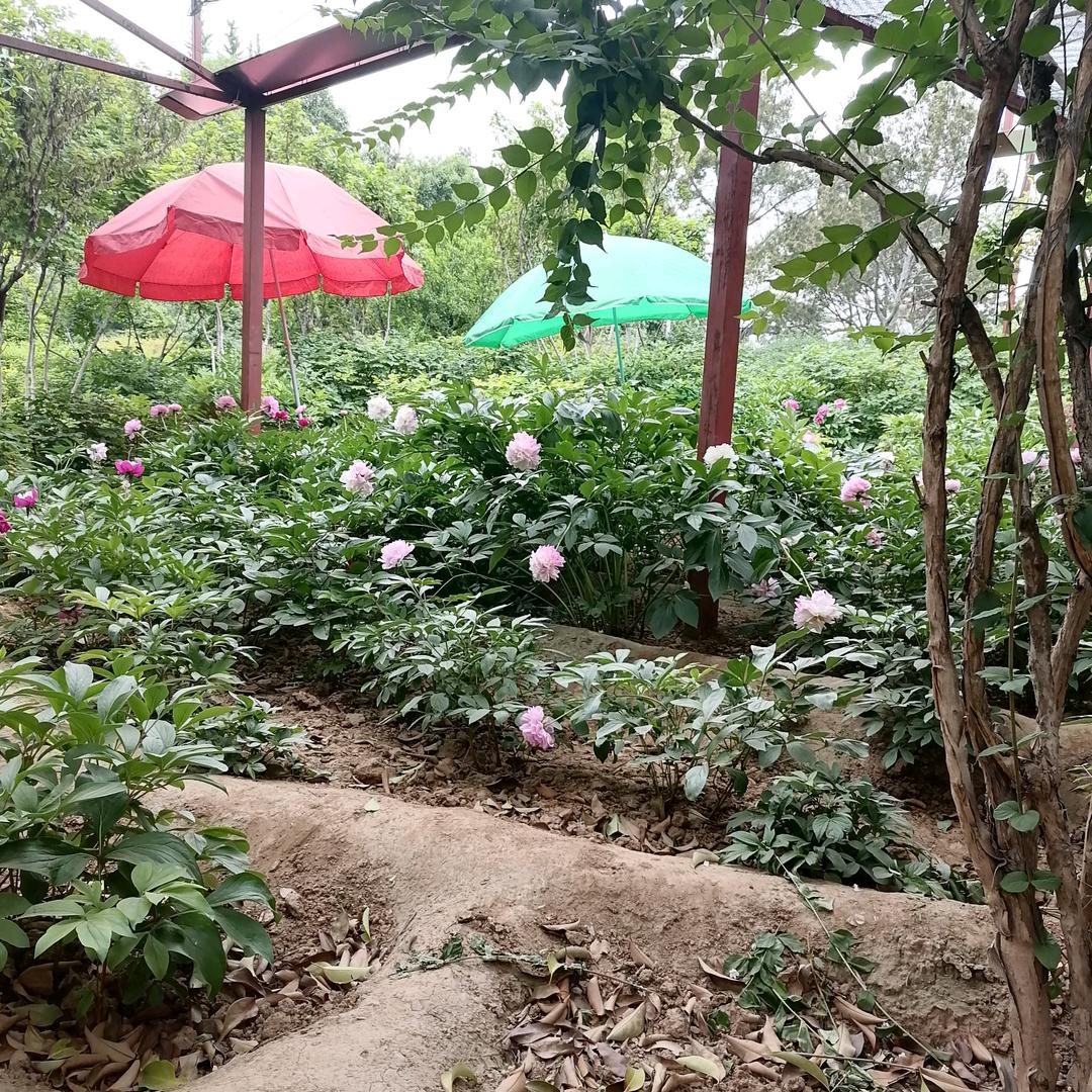 陆贺强