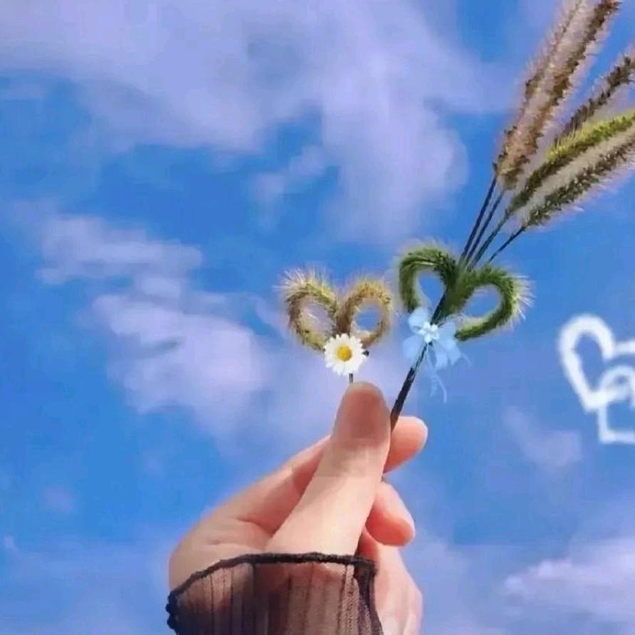 晓倩老师🕊