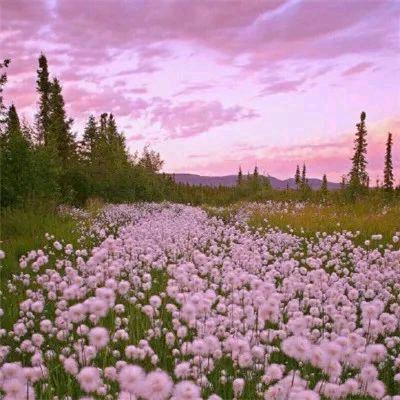 ღ°一夕一夏ᝰ ᭄