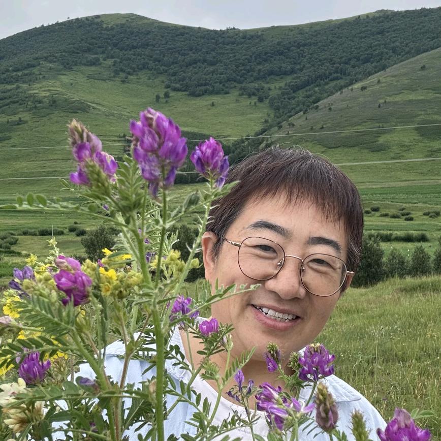 幸福开花