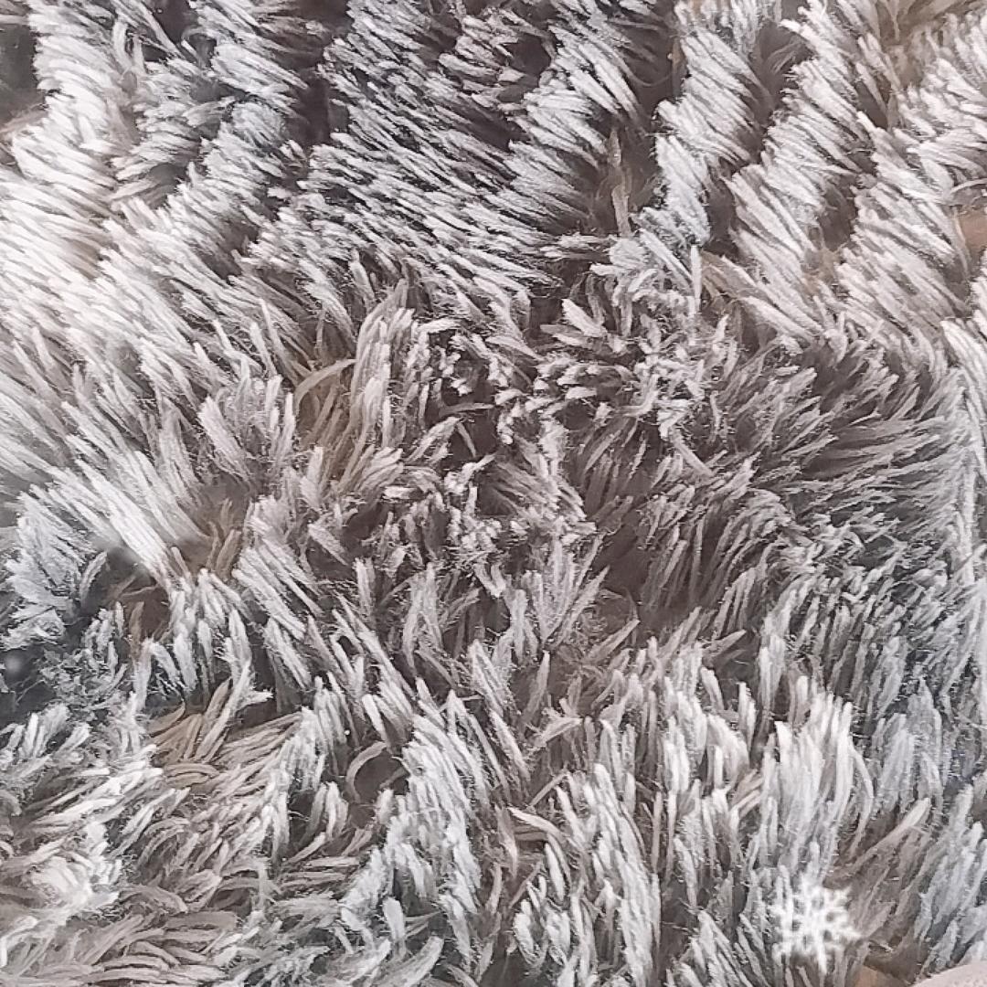🐻多多来了