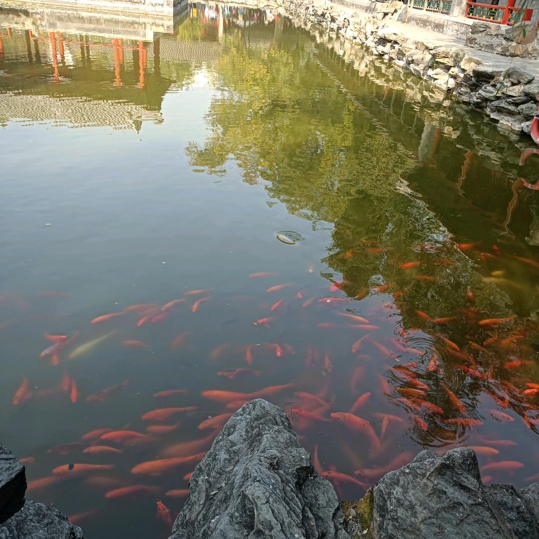 金到，一撇一捺默写牵挂