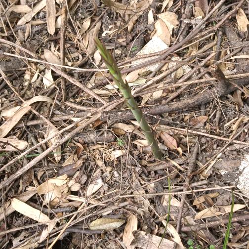 🌈生如夏花🌈