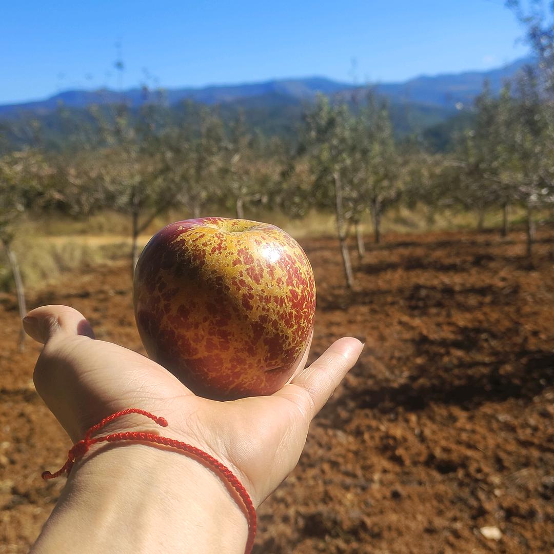 你最珍贵✪ω✪