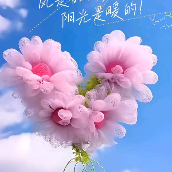 柠檬🌸不萌头像